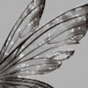 Meet your Posher, Samara